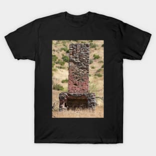 Ruins of a Fireplace T-Shirt